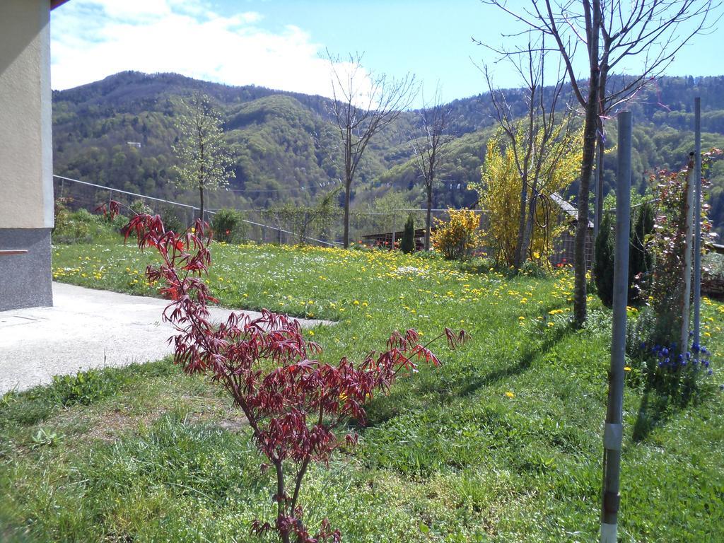 Apartments Petrin Tolmin Kültér fotó
