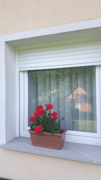Apartments Petrin Tolmin Kültér fotó